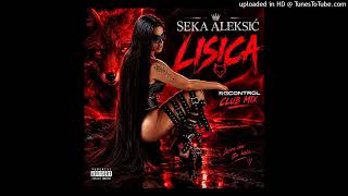 SEKA ALEKSIĆ – LISICA (RGCONTROL CLUB MIX)