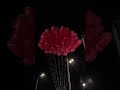 Balloon 🎈#love #travel #viral #music