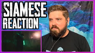 Siamese - Home feat. Drew York (Reaction)