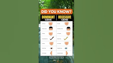 Dominant gene vs Recessive gene