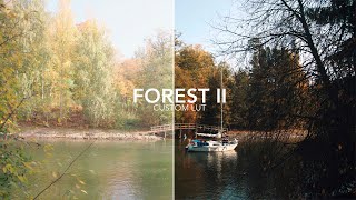 FOREST LUT II | CUSTOM LUT | HLG3 / CINE 4 / S-LOG 2/3 / V-LOG / C-LOG