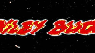 Requested Riley Bug Productions 2023 Logo In E-200 Major