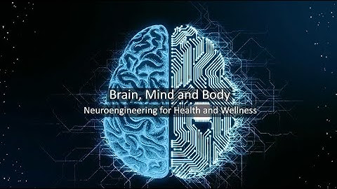 Exploring the Connection Between Brain, Mind and Body