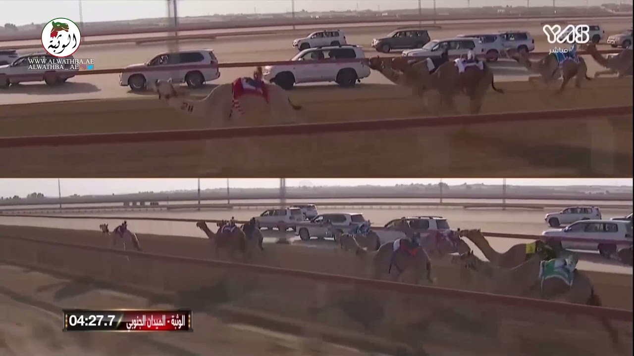 الشوط 10 (كيف) لـ مبارك حمد محمد العامري 5:56:0 ، تاهيل الوثبة 2021/10/29 لقايا