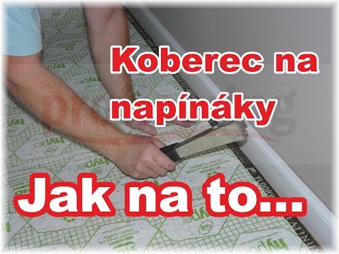 Video: To, čo Sa žralokom Hovorí Koberec