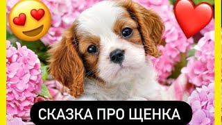 Сказка про щенка | сказки на ночь