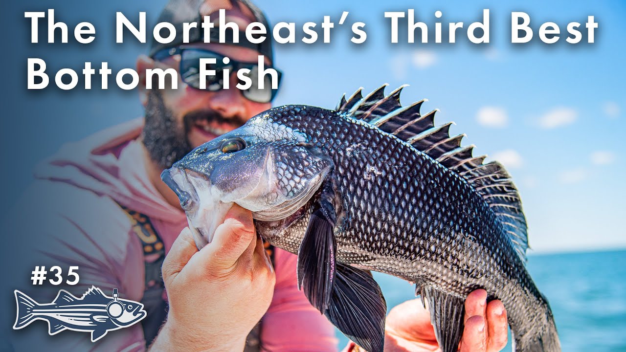 The Northeast's Third Best Bottom Fish | OTW Podcast #35