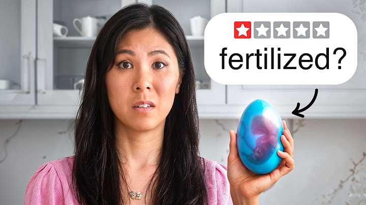 I Tested The World's Most Unusual Foods! 🫣😱