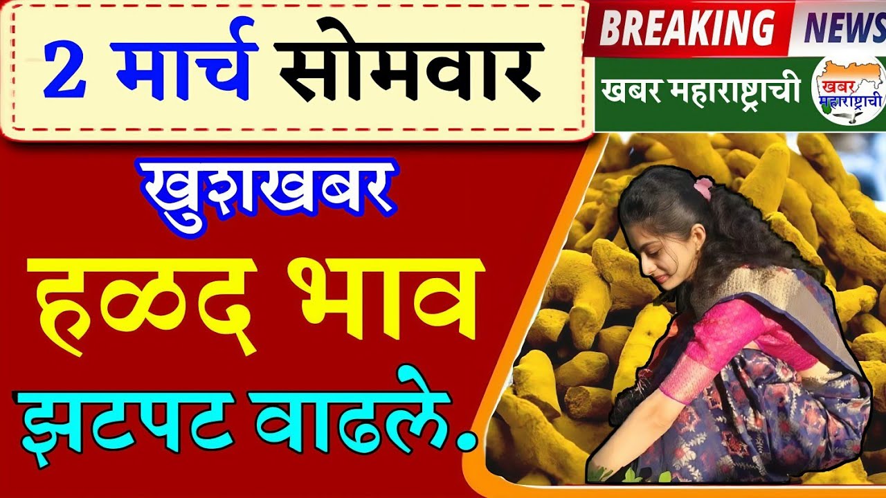 हळद बाजार भाव वाढले 02 मार्च 2026 / हळद बाजार भाव / वसमत हळद भाव #haldi #halad_bhav_today