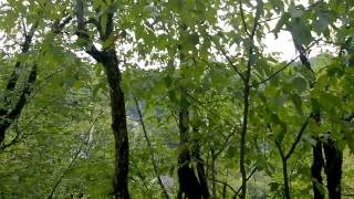 WP 20150805 13 57 04 Pro