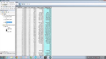 Bài tập chuyển từ Raster sang Vector bằng ArcGIS