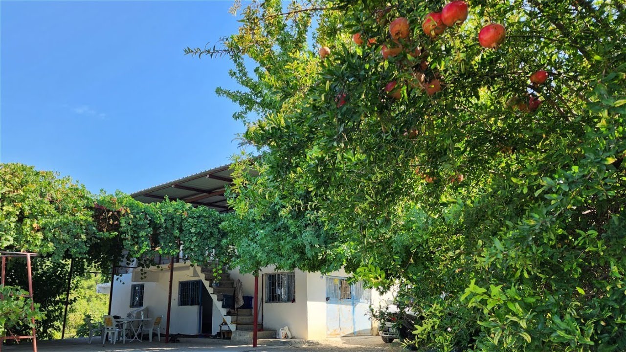 Seydikemer Güneşli Köyünde 4.522 Metrekare Satılık Müstakil Köy içi imarlı  Arsa Ev ve Meyve Bahçesi