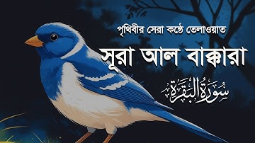 সূরা আল বাকারা (سورة البقره) | সবচেয়ে সুন্দর তিলাওয়াত | Ahemed Al Shalbi