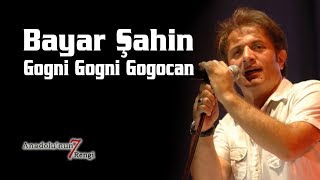 Bayar Şahin - Gogni Gogni Gogocan (Canlı Performans) Resimi