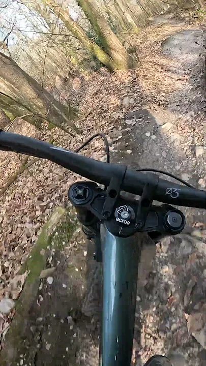 IBOS 02 03 2025 Pomponette la licorne #mtb #bikepark #freeridemtb #downhill #jump #mountainbike