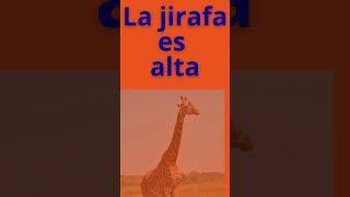 Spanish JI Pronunciation Practice | Say JIRAFA Like a Native Speaker #languagelearning #spanishdrill