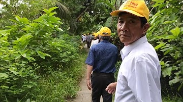 Khám phá Cồn Sơn Cần Thơ và hái ổi xem biểu diễn Cá Lóc Bay | Cường Ấn Trà Vlog