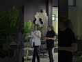 Transporti I Produkteve X Edita Doli X Gogaj Transporti I Produkteve X Edita Doli X Gogaj