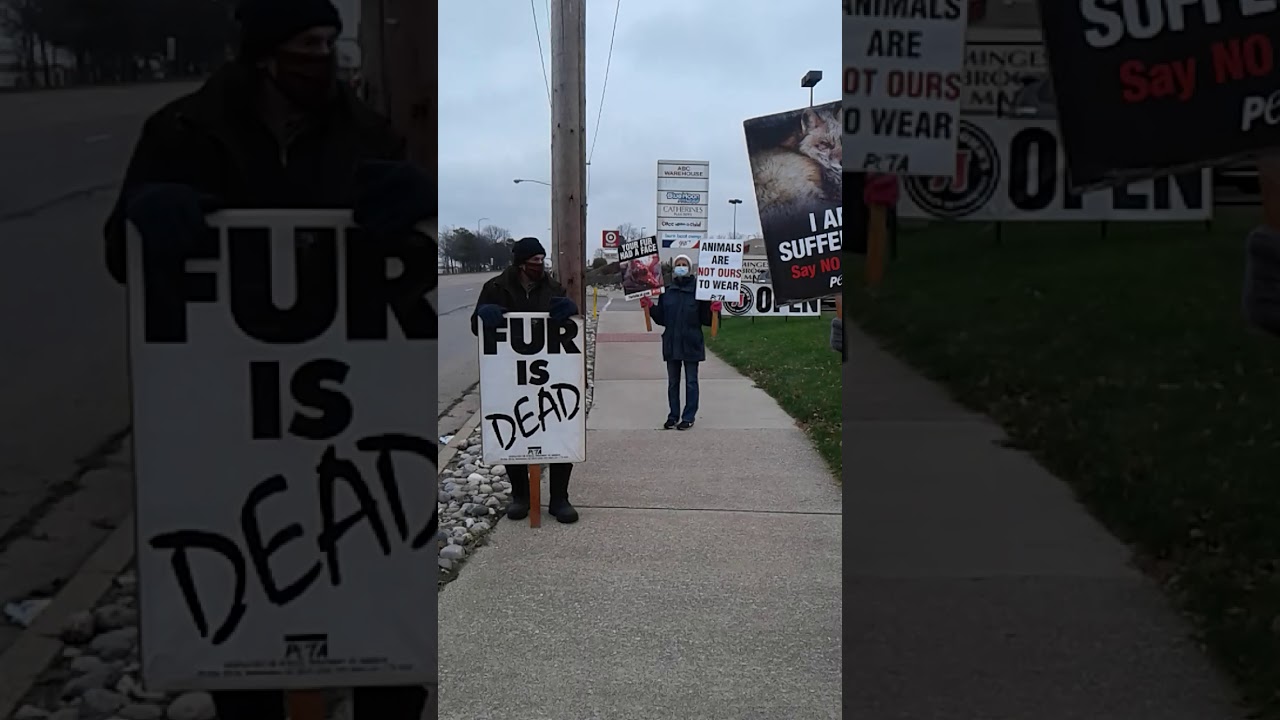 Kalamazoo Animal Liberation League (KALL) Fur Free Friday  Protest, 11/27/20 in Battle Creek, MI.