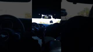 2018 mustang gt pp1 auto 3 guys