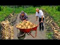 Potato harvest in my grandmas village  1 hour of the best recipes