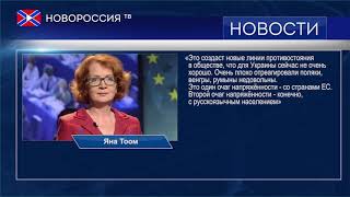 Критика украинского закона Критика украинского закона