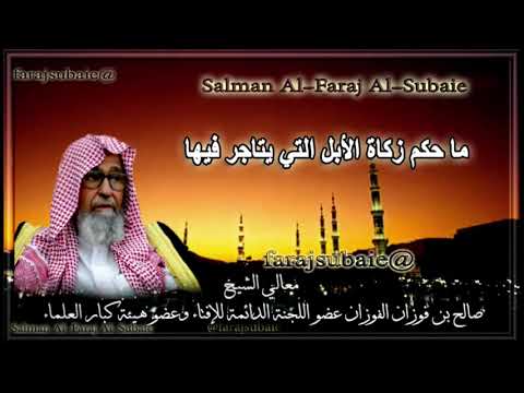 حكم زكاة الأبل التي يتاجر فيها الشيخ صالح الفوزان حفظه الله