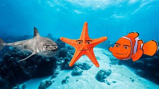 Oceanic gegagedigedagedago 3