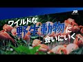 家族が楽しめるシンガポール旅【JTB公式Official】