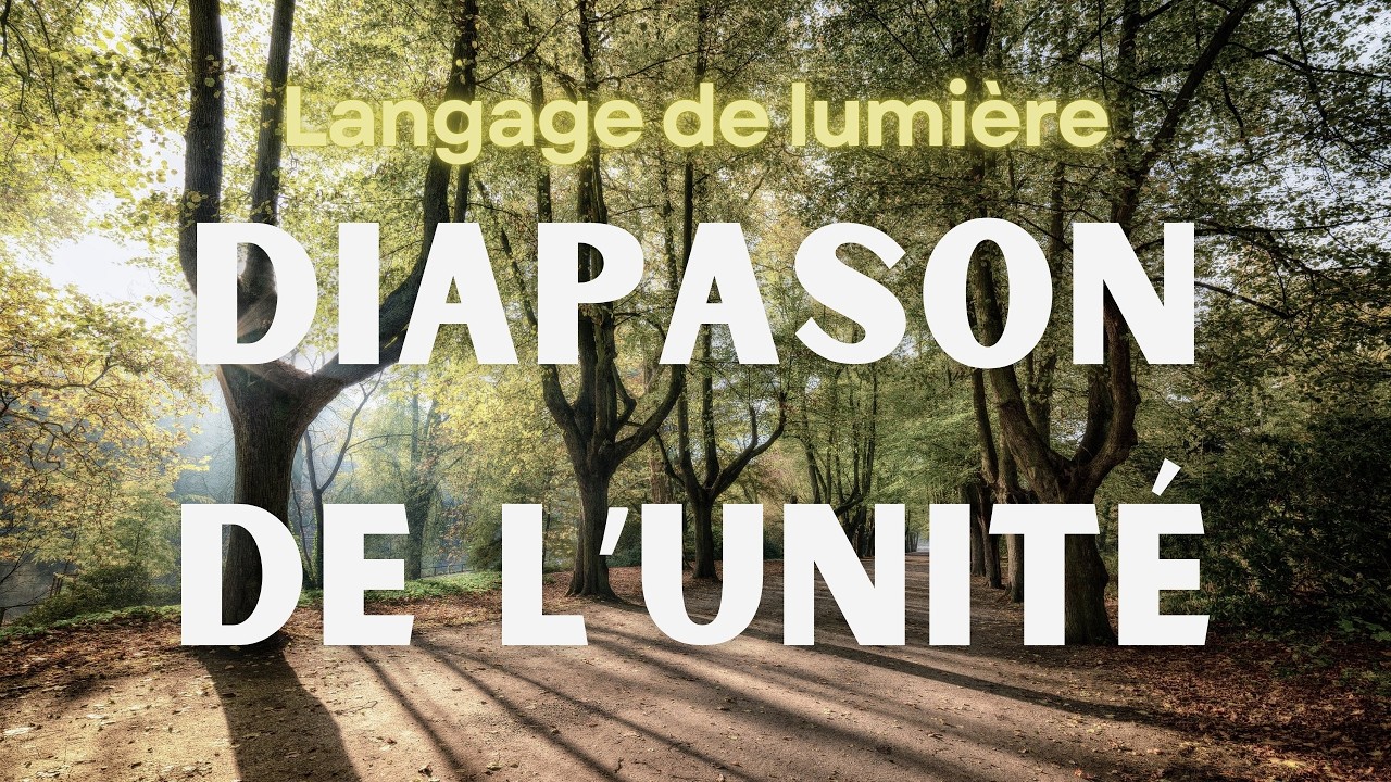 Diapason de l'Unité l Langage de lumière I Activation de l'ADN I Conscience 5D I Nouvelle Terre