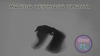 масло черного тмина - аппарат президента 2 SLOWED + REVERB