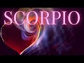 Scorpio "Infatuated" trying to understand the "Spiritual Connection" ❤️‍🔥#scorpio #tarot #twinflame