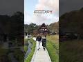 Autumn whispers through Shirakawa-go a breathtaking blend of color, culture, and calm#shirakawago
