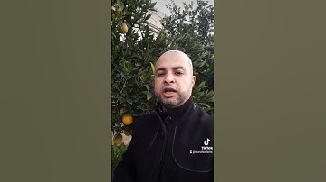 فضل اول  عشر آيات من سورة الكهف