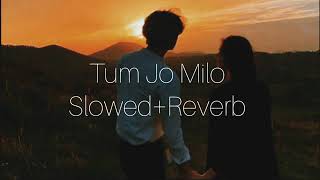 Tum Jo Milo (Slowed + Reverb) | Freddy | Kartik Aaryan, Alaya F | Slover #shlofiarmy