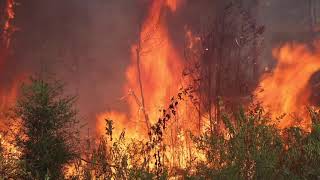 Louisiana Wildfires Tiger Island Fire