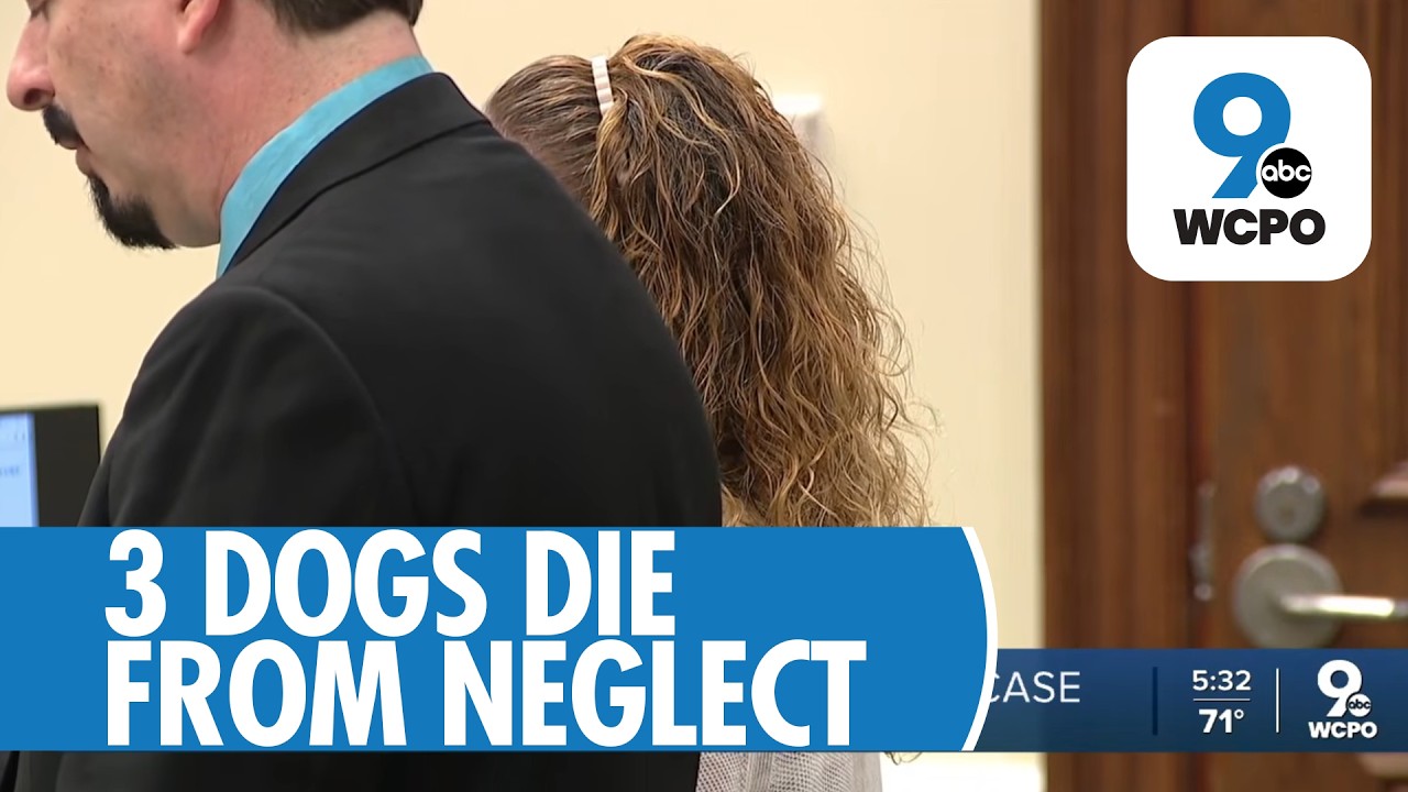 Woman sentenced in Clermont County animal cruelty case - YouTube