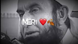 EK SAHABI RAAT KO UTHE 😇🌸 | Molana Tariq Jameel | Beautiful Bayan | Hamo Official | whatsapp status screenshot 4