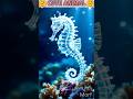 क्या आपने कभी सोचा है पांच अलग जानवर हीरो से मिले तो 🥶 SEAHORSE + DIAMONDO #hybrids#animal#shorts