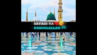 Beautiful Naat Whatsapp status 2020 new | Naat Whatsapp status 2020 new | Naat_786_Official