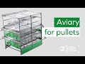 AVIARY FOR PULLETS designed with elements of excellent quality and solidity