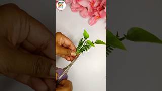 Miniature Plant For Doll House  #miniature #diy #diycrafts