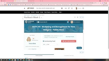 Linking Packback for Grade Sync