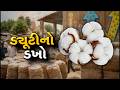 કપાસ આયાત ડ્યૂટી હટાવતાં ખેડૂતોમાં ચિંતા, ટેક્સટાઇલ ઉદ્યોગને મળશે લાભ