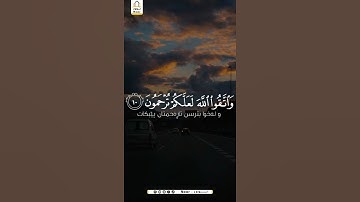 {إنما المؤمنون إخوة”}الحجرات، الآية 1