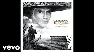 Vignette de la vidéo "Alejandro Fernández - Decepciones (Audio Oficial)"