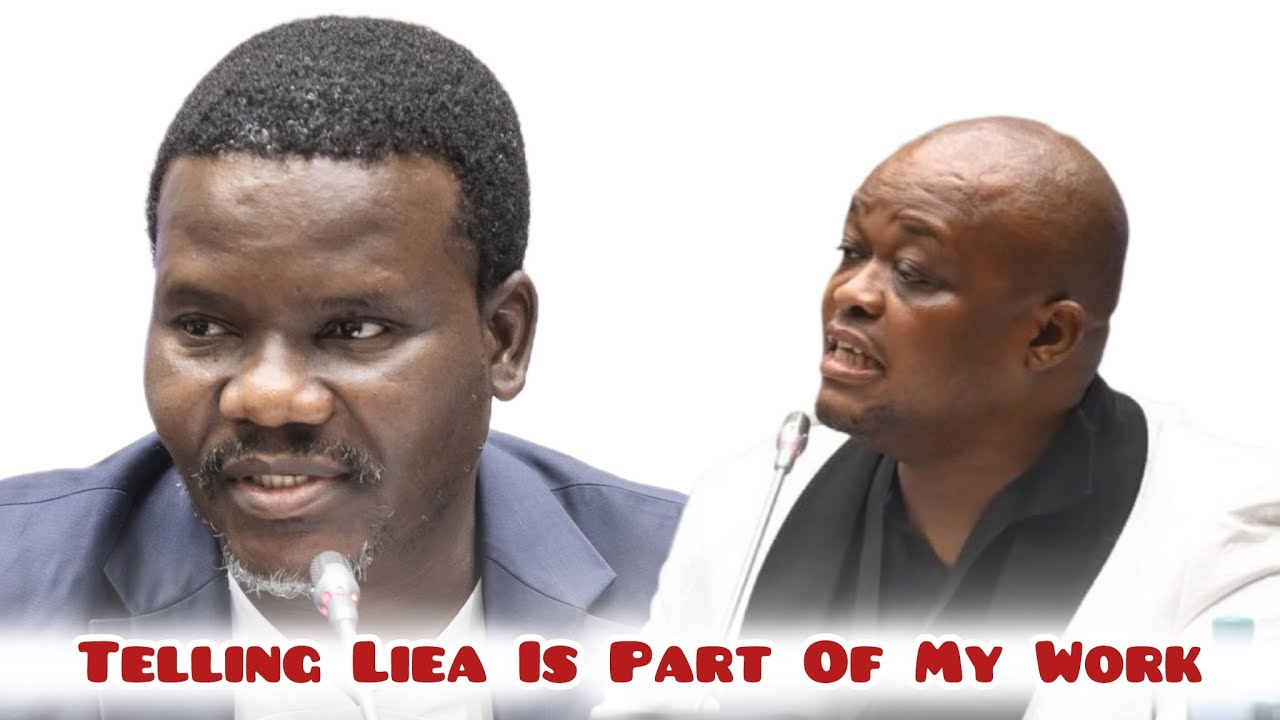 WATCH | Brown Mogotsi pressed by Chief Whip over alleged lies