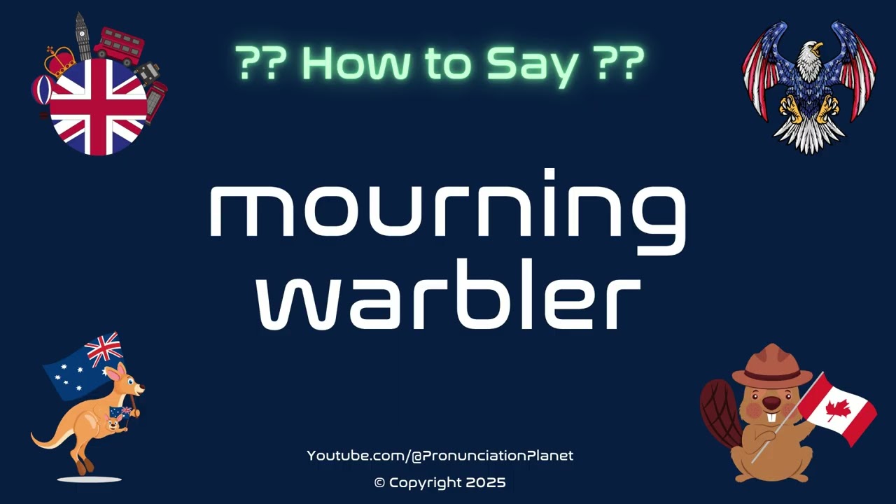 🦜💔 How to Pronounce mourning warbler? (CORRECTLY) | Pronunciation Planet