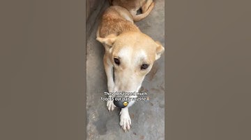 Link in my bio for donations🙏🏼