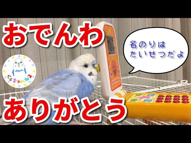 くうちゃん くうちゃん Official ZX - YouTube